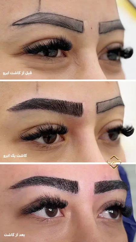 گالری تصاویر
