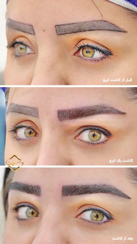 گالری تصاویر